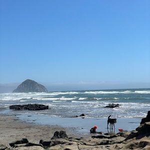 Meet your Posher, Jillian